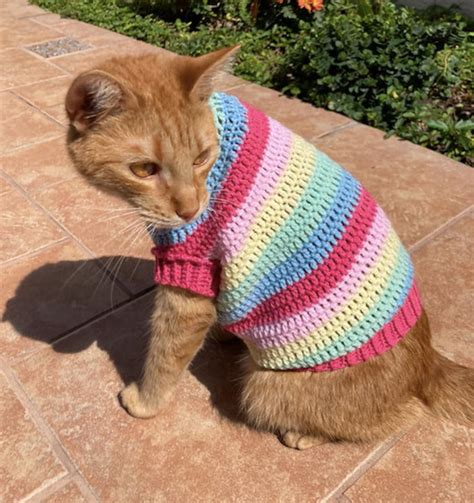 crochet pattern rainbow cat sweater etsy uk