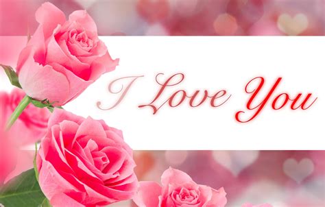 Wallpaper Flowers Background The Inscription Roses Bouquet Hearts