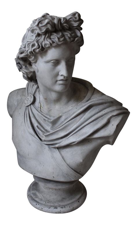 Apollo Belvedere Bust Chairish