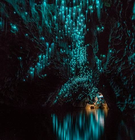 Glowworm Caves In New Zealand Popsugar Smart Living