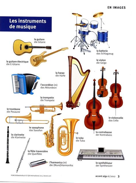 educational infographic les instruments de musique your number one