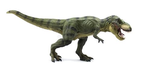 Tyrannosaurus Rex Stock Photo Image Of Jura Tyrannosaurus 43783356