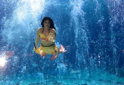 An interview with a mermaid at Camden's Adventure Aquarium | NJ.com