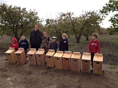 They must also participate in a conservation project. build bird houses for the park that we will use for day ...