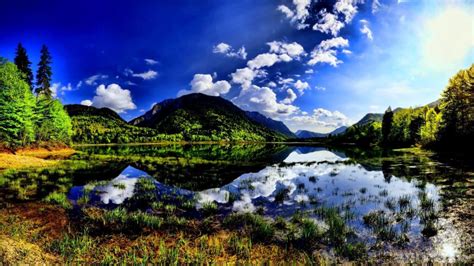 Summer Landscape Mountain Lake Pine Forest Sky With White Clouds Reflection In The Water