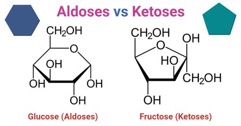 Aldoses Vs Ketoses Definition 7 Major Differences Examples
