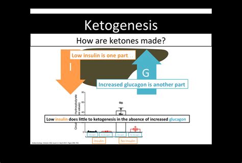 Objective to assess the glucagon response to hypoglycemia and identify influencing factors in patients with type 1 diabetes compared with nondiabetic control subjects. Use Of Glucagon And Ketogenic Hypoglycemia : Interviewing ...
