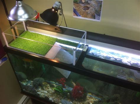 List Of Homemade Turtle Topper Basking Platform Ideas Diy Ornaments