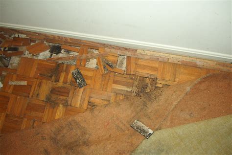 Third, spray the solution both on top and underneath your carpet. Remodeling Your Bathroom? Check For Mold!