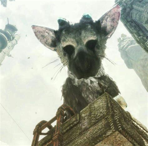Zerochan has 28 trico anime images, fanart, and many more in its gallery. If Trico was a pokemon | Pokémon Amino