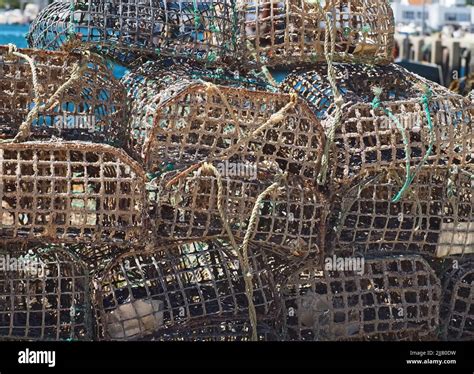 Pile Of Fish Traps To Catch Lobster And Crabs Stock Photo Alamy