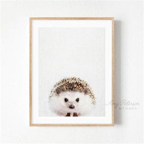 Hedgehog Print Baby Animal Nursery Wall Art Woodland Animal Etsy