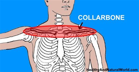 Collarbone Pain Clavicle Pain Causes And Effective Treatments