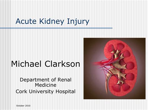 Ppt Acute Kidney Injury Powerpoint Presentation Free Download Id
