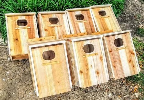 7 X Handcrafted Cedar Wood Duck Nesting Boxes Merganser Bird Etsy