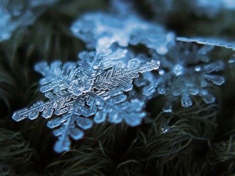 Amazing Images Of Snow Crystals Show Off Natures Beauty The Sideshow