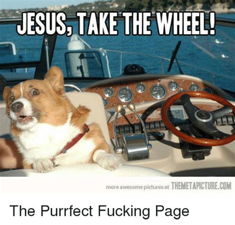 Jesus Take The Wheel More Awesome Pictures At Themetapicturecom The