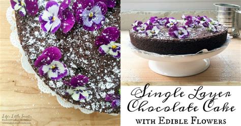 Single Layer Chocolate Cake With Edible Flowers Recipe Edible