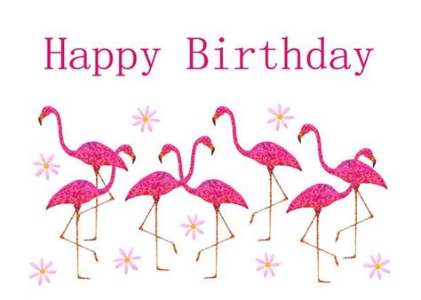 Pink Flamingos Birthday Card Pink Flamingo Birthday Flamingo