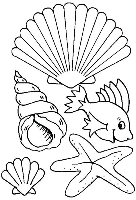 Shell Coloring Pages at GetDrawings | Free download