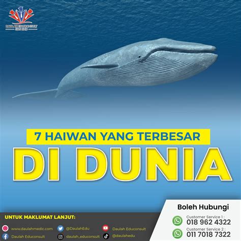 6 Haiwan yang Terbesar di Dunia yang Mengagumkan Kita