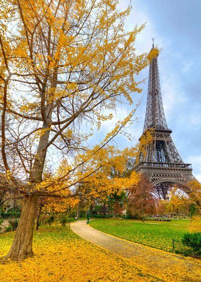 Autumn In The Paris Eiffel Tower Paris Tower