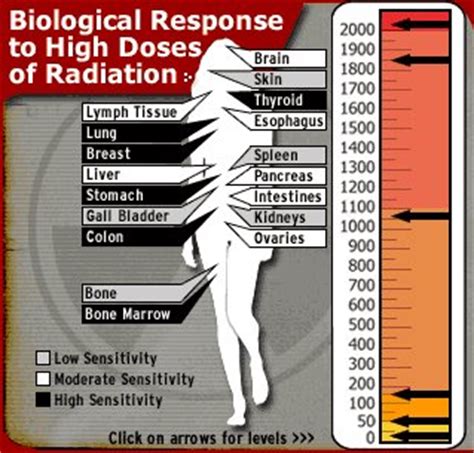 The discussion covers cases of minimal risk due to external irradiation resulting from the storage and handling of depleted uranium ammunition and, in contrast. Nuclear Energy: The Negative Aspects of Nuclear Energy