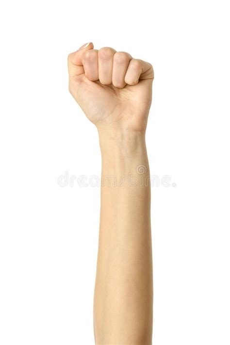 916 Woman Hand White Background Clenched Fist Stock Photos Free