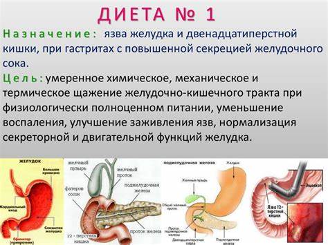 Характеристика диет презентация 14.2. характеристика диет (3) - презентация онлайн 14.2. характеристика диет (3) - презентация онлайн Характеристика диет презентация
