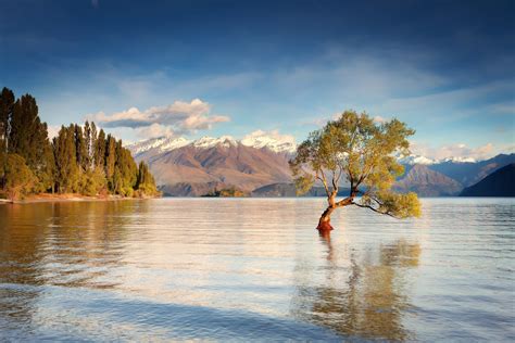 Body Of Water Landscape Nature Trees New Zealand Hd Wallpaper