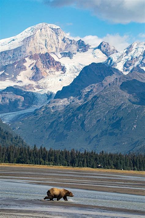 Somerset House Images Lake Clark National Park And Preserve Cook