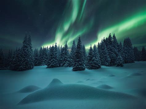 Fondos De Pantalla Aurora Boreal Bosque árboles Invierno Nieve