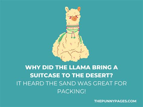 100 Funny Llama Jokes And Puns