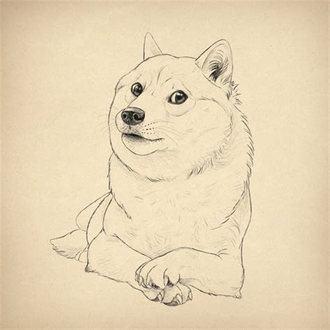 Such Tutorial Many Fun How To Draw Doge
