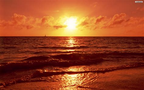 Free Download Beach Sunset Wallpaper Image Picture Wallpaper With