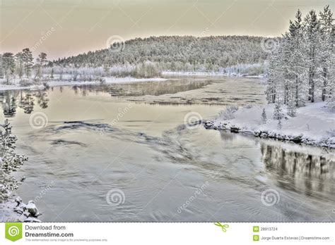 Frozen Lake In Inari Finland Stock Photo Image Of Landscape Tree