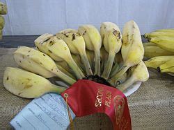 Especially in the americas and europe, banana usually refers to soft, sweet, dessert. Blue Java banana - Wikipedia