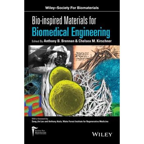 Bio Inspired Materials For Biomedical Engineering Ebook