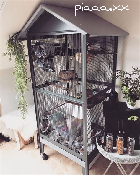 The best rat cages are chewproof, easy to clean, large enough, and look great. Rattenkäfig Käfig Rattenideen diy | Pet cage, Rat cage, Rats