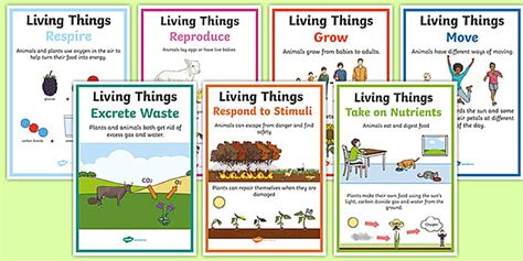 Characteristics Of Living Things A4 Poster Set Twinkl