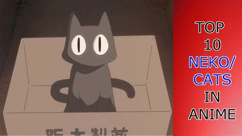 Top 10 Nekocats In Anime Youtube