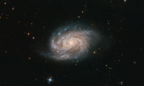 Also called arp 12, it's about 62,000 light years across, smaller than the milky way by a fair margin. Hubble Space Telescope Spies NGC 1803 in the Painter's Easel