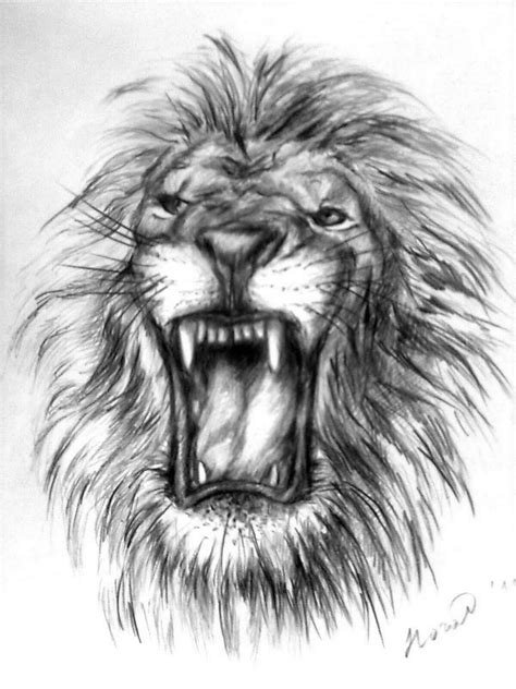 Lion Pencil Sketch Drawing Sketch Drawing Idea