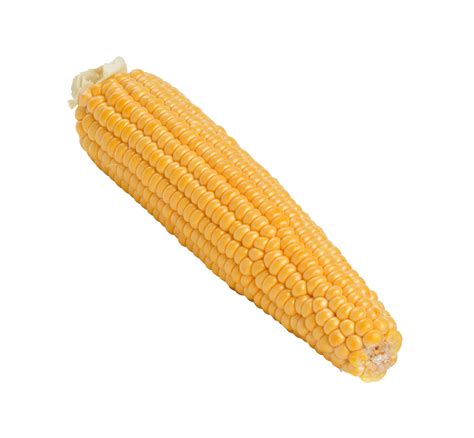 Yellow Corn Isolated 11190590 Png
