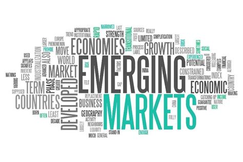 Emerging Markets International Center For Emerging Markets Research