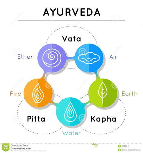 There are five types of pitta in our body Ayurveda-Vektorillustration Ayurveda-Elemente Vektor ...