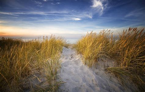 Düne And Meer Foto And Bild Landschaft Meer And Strand Dünen Bilder Auf