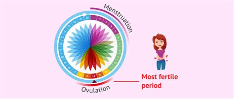 Mittelschmerz Ovulation Pain Is It Normal And What Causes It
