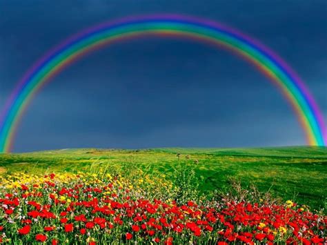 Beautiful Flower Mountain Rainbow Nature Images Gamer 4 Everbr