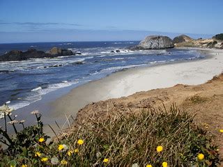Seal Rock State Park The Majestic And Dangerous Oregon Coa Flickr